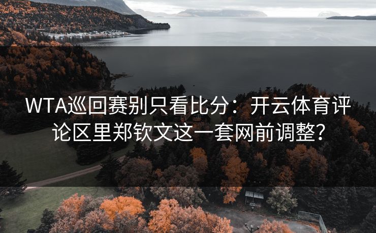WTA巡回赛别只看比分：开云体育评论区里郑钦文这一套网前调整？